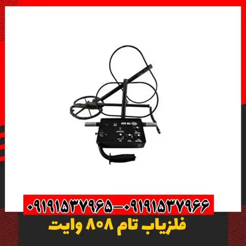 فلزیاب حرفه ای