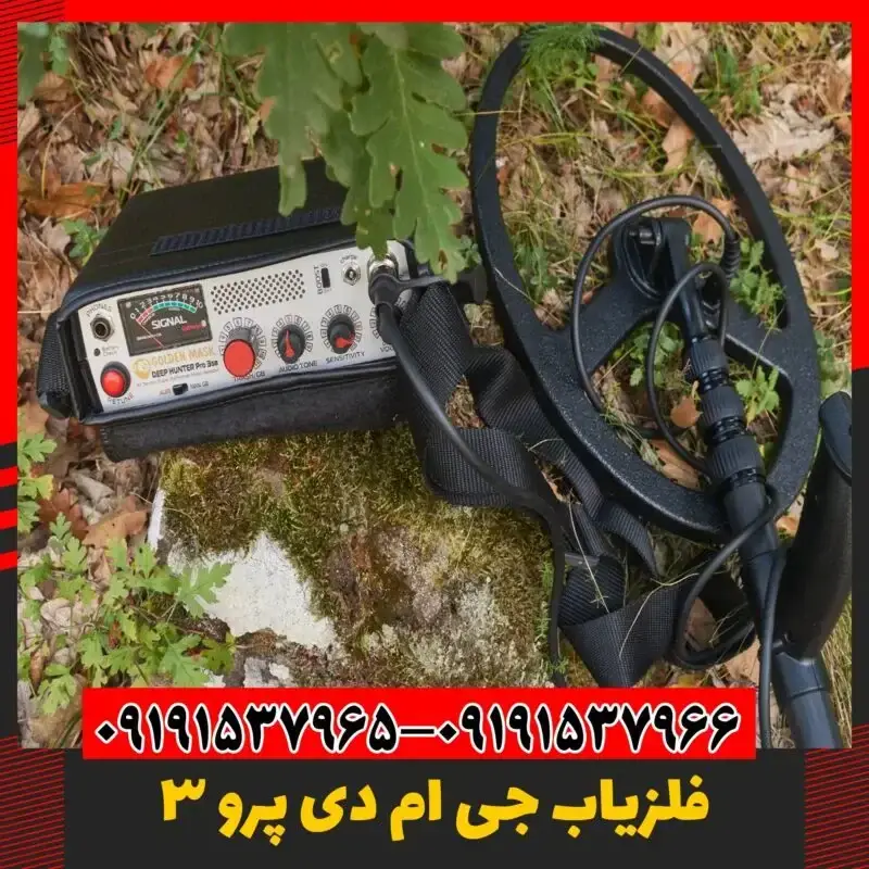 نقطه زن گنج