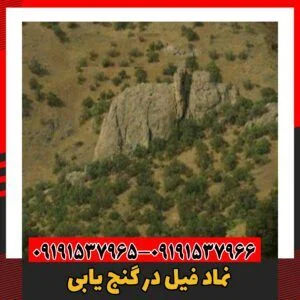 نماد فیل در گنج یابی09191537966
