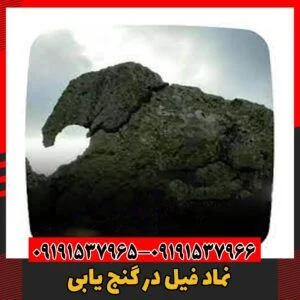 نماد فیل در گنج یابی09191537966
