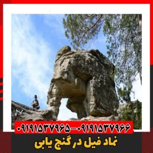 نماد فیل در گنج یابی09191537966