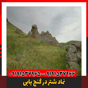 نماد شتر در گنج یابی09191537966