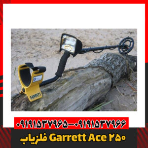 فلزیاب Garrett Ace 25009191537966