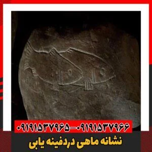 نشانه ماهی دردفینه یابی 09191537966