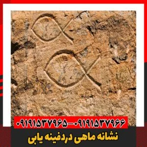 نشانه ماهی دردفینه یابی 09191537966