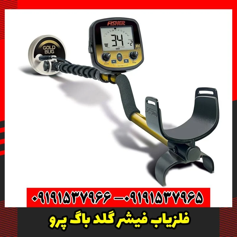 فلزیاب فیشر گلد باگ پرو