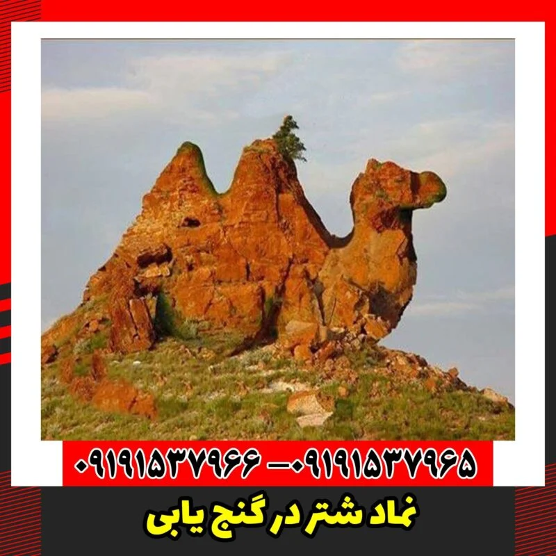 نماد شتر در گنج یابی