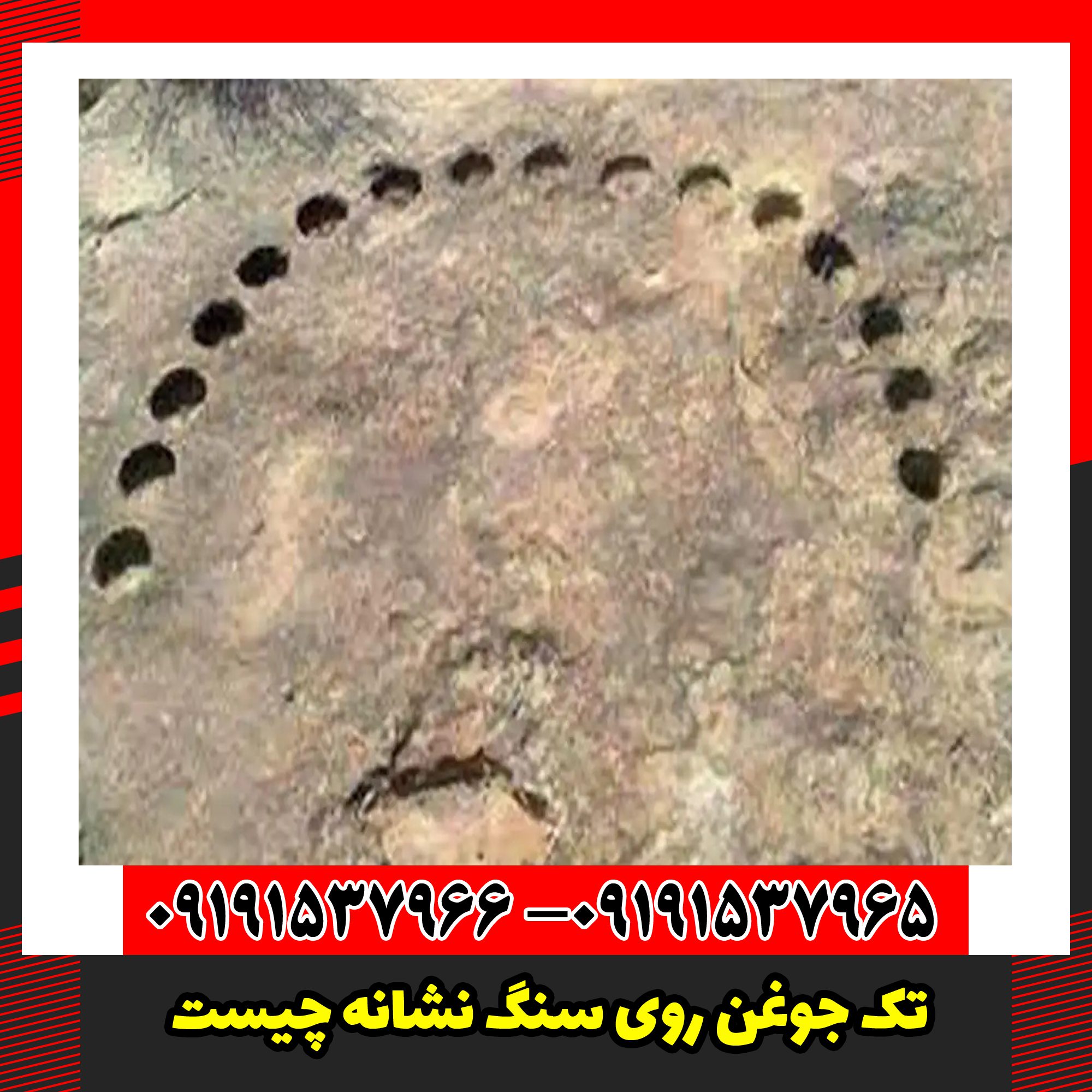 تک جوغن روی سنگ نشانه چیست