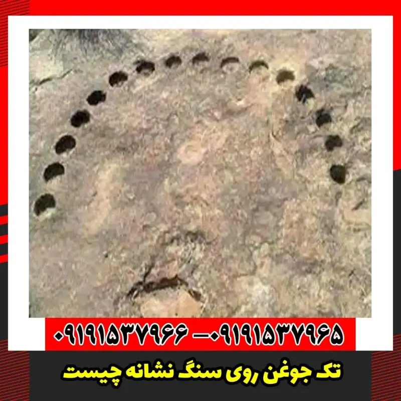 تک جوغن روی سنگ نشانه چیست