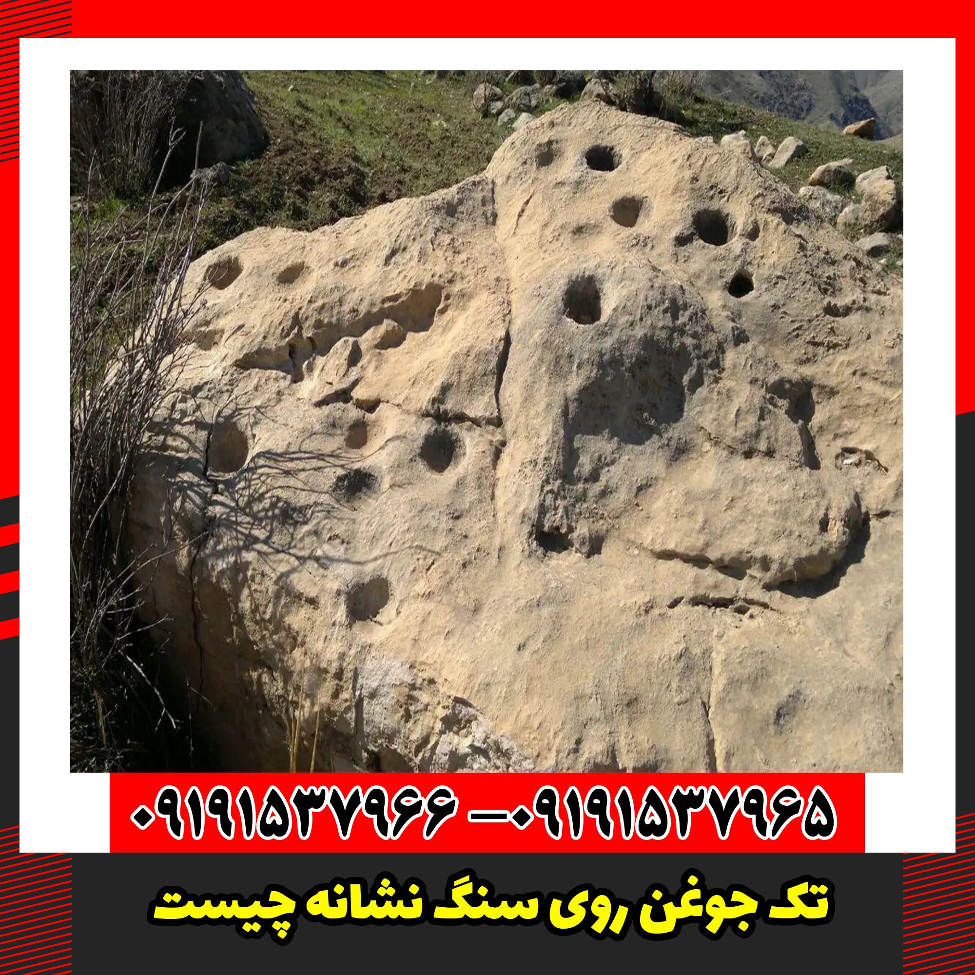 تک جوغن روی سنگ نشانه چیست