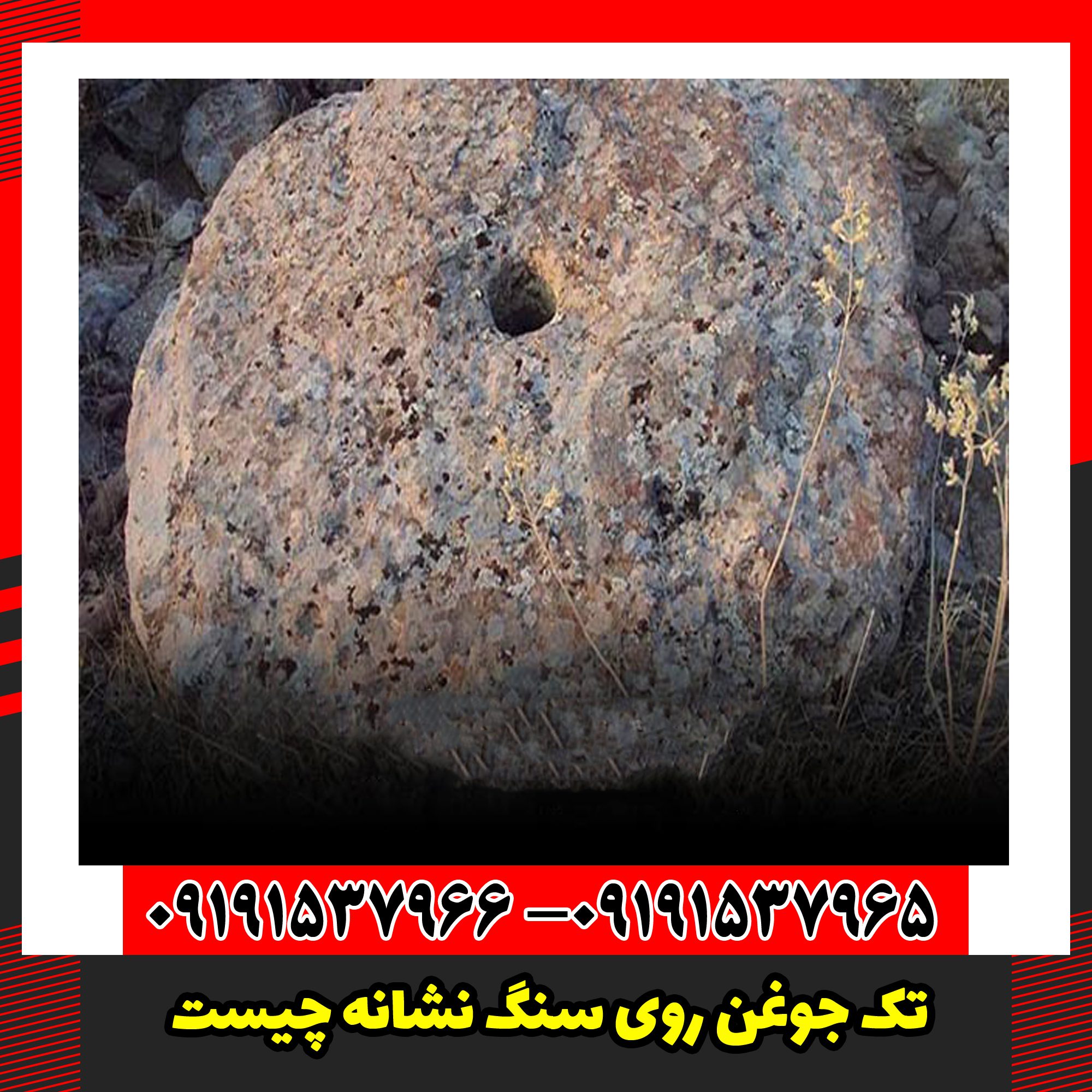 تک جوغن روی سنگ نشانه چیست