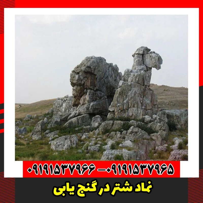 نماد شتر در گنج یابی