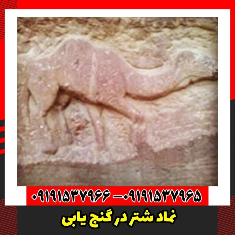 نماد شتر در گنج یابی