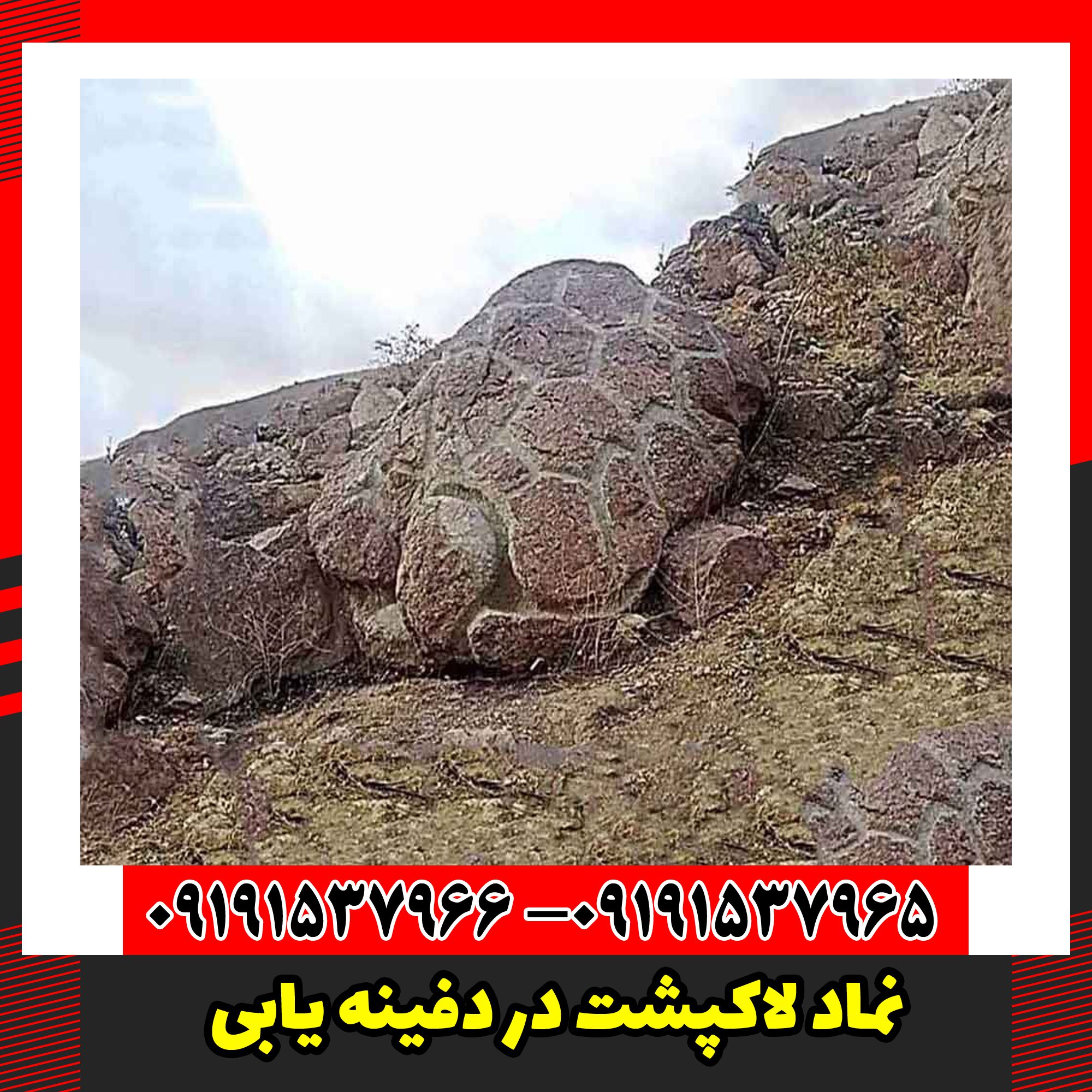 نماد لاکپشت در دفینه یابی