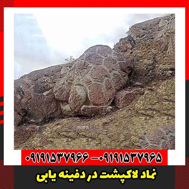 نماد لاکپشت در دفینه یابی