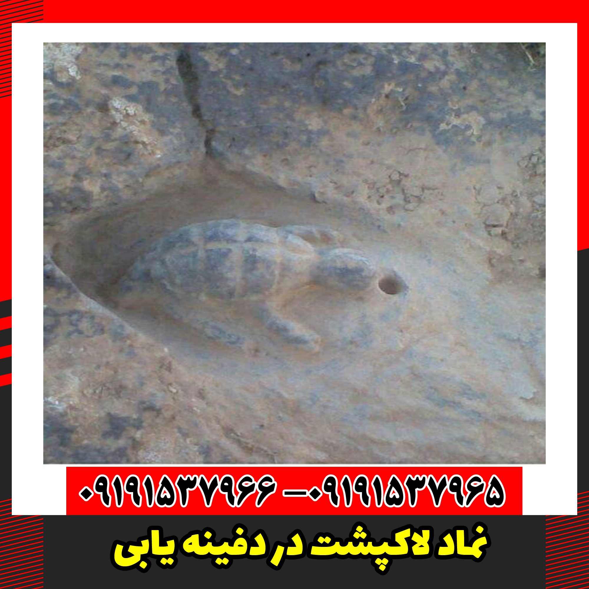 نماد لاکپشت در دفینه یابی