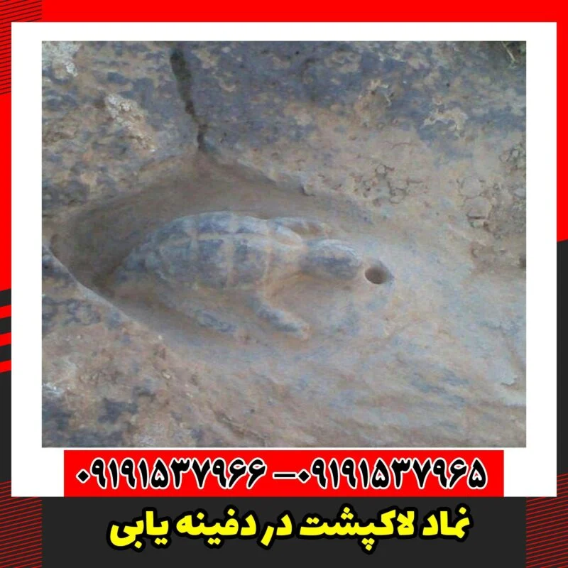 نماد لاکپشت در دفینه یابی