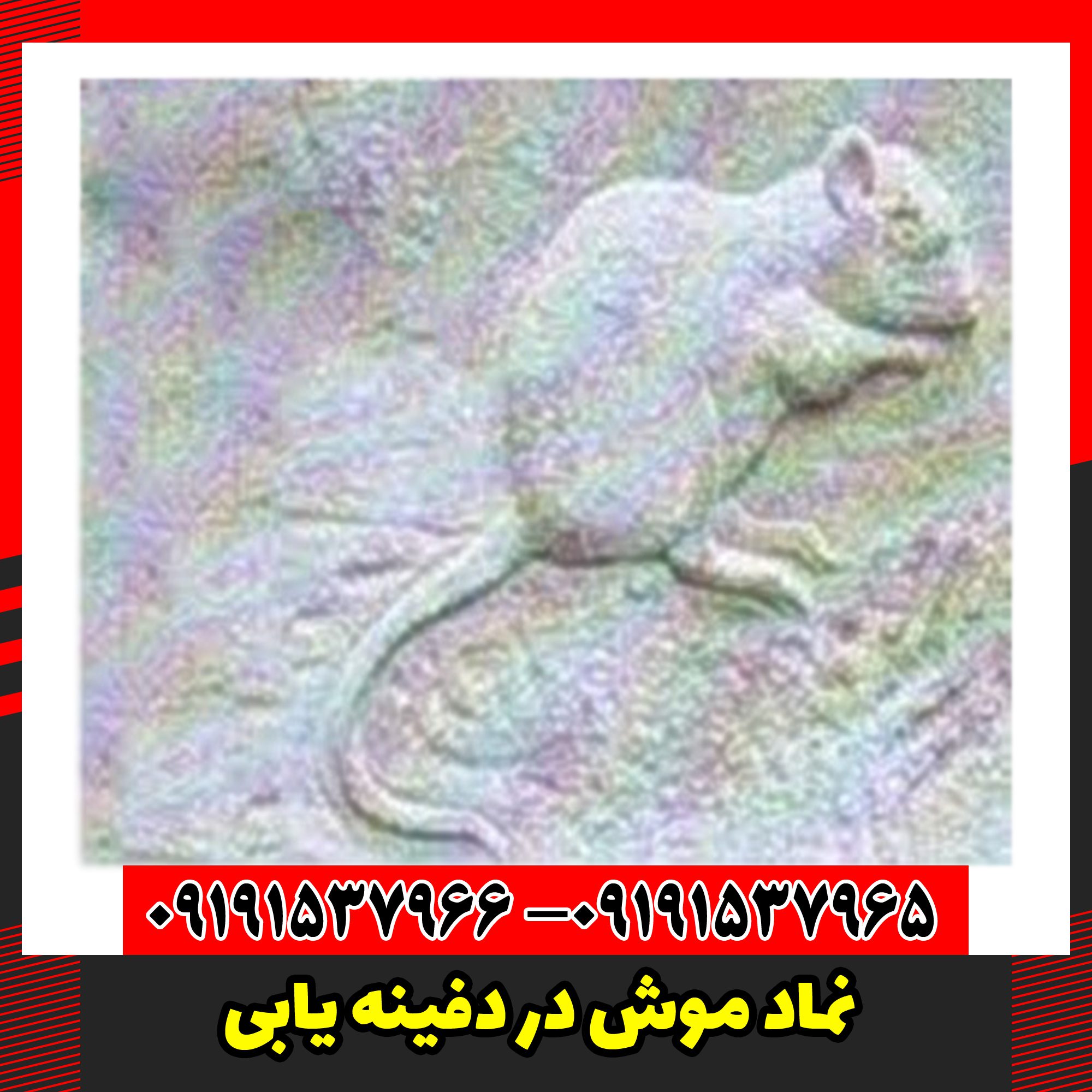 نماد موش در دفینه یابی