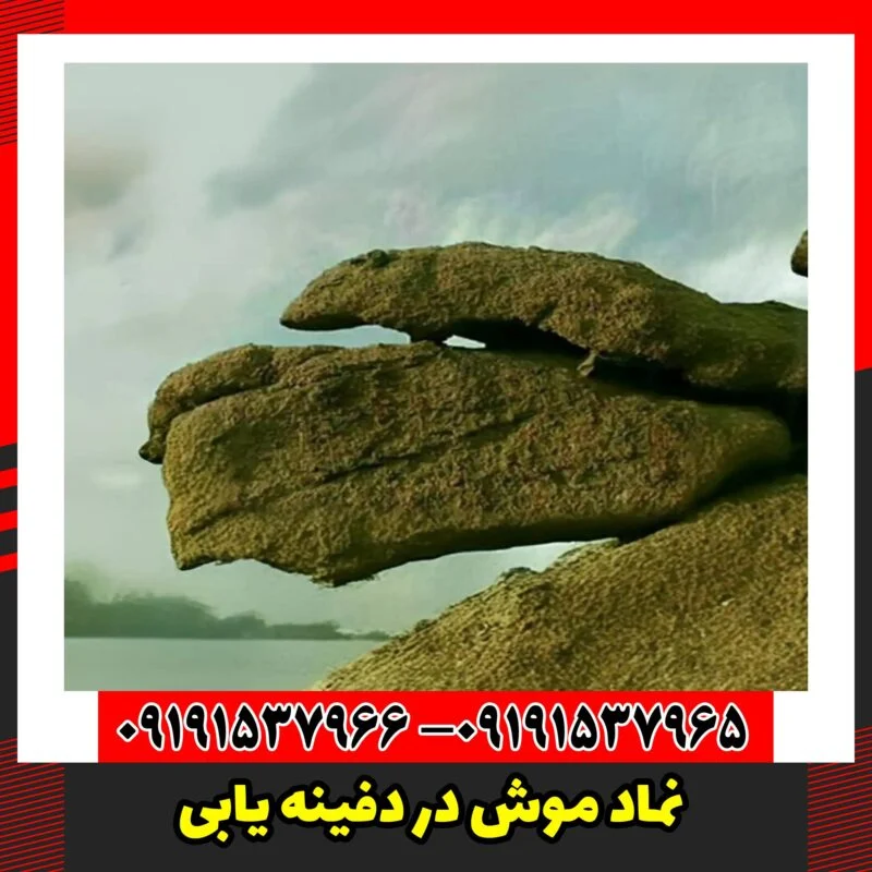 نماد موش در دفینه یابی