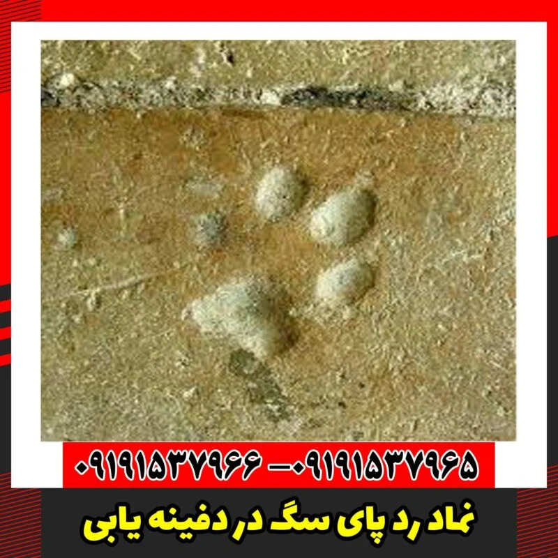 نماد رد پای سگ در دفینه یابی