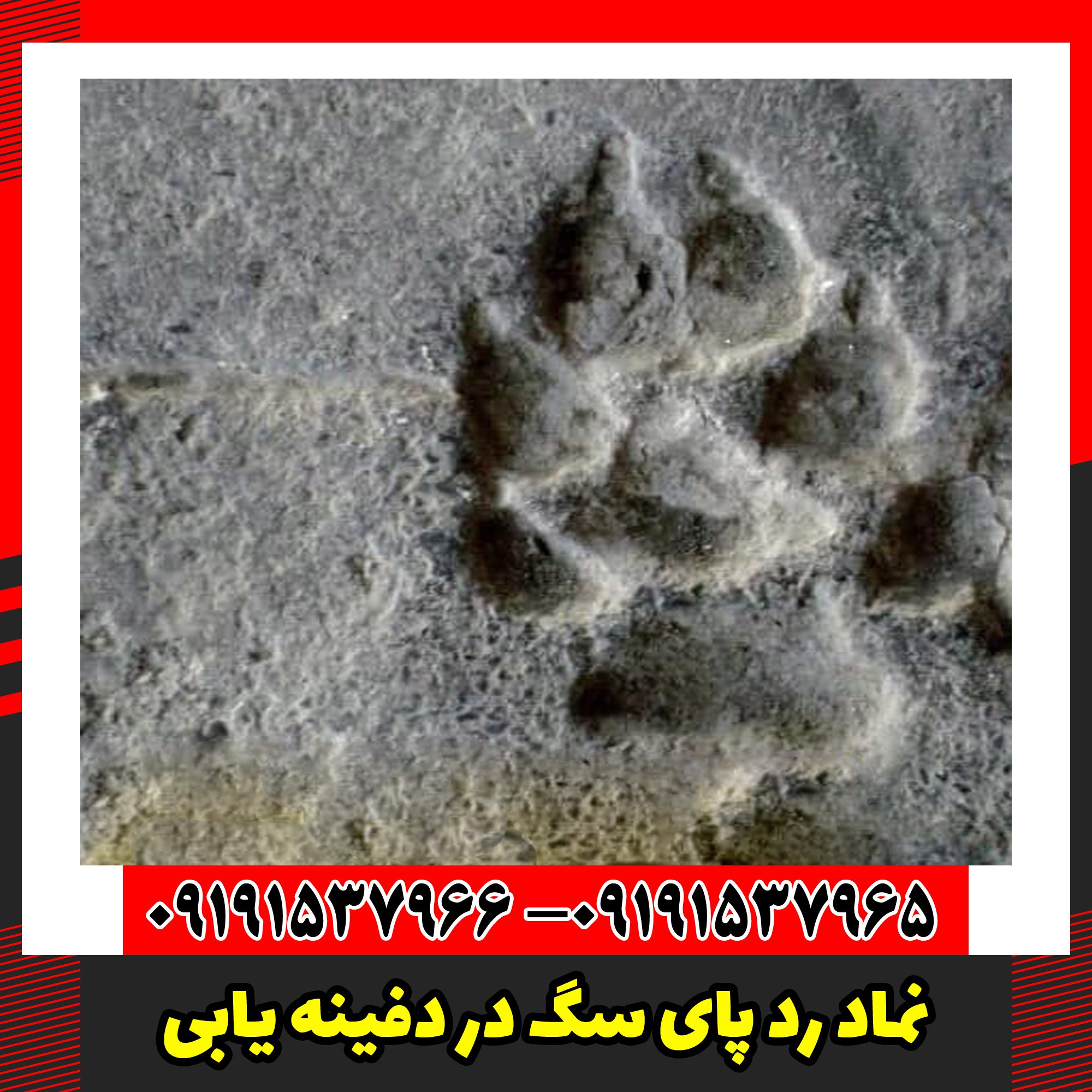 نماد رد پای سگ در دفینه یابی