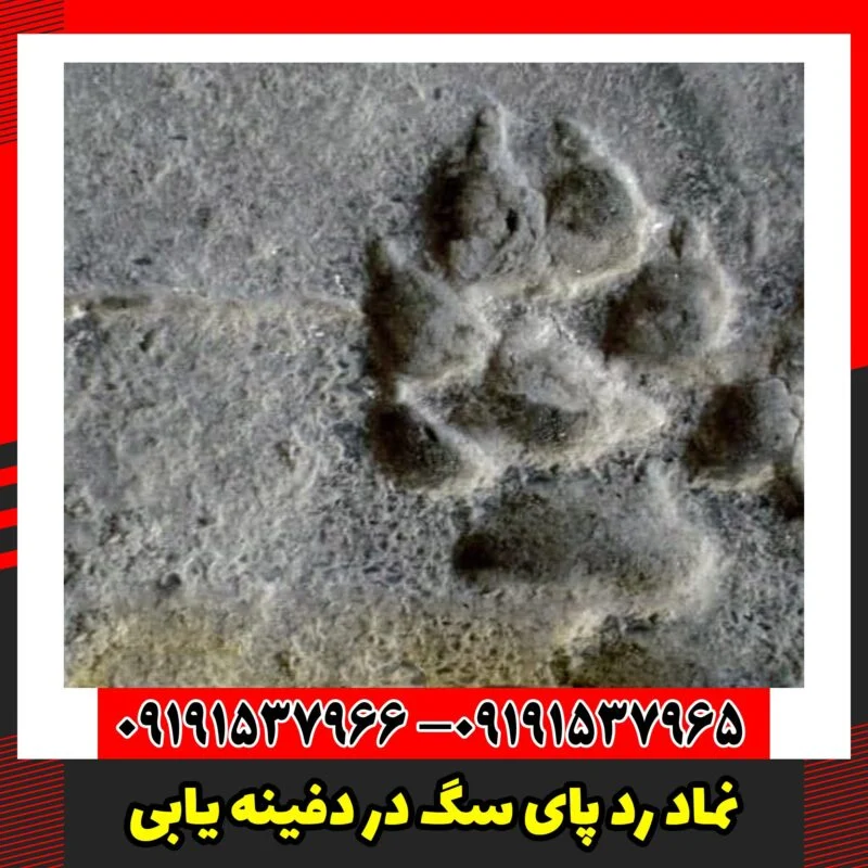 نماد رد پای سگ در دفینه یابی