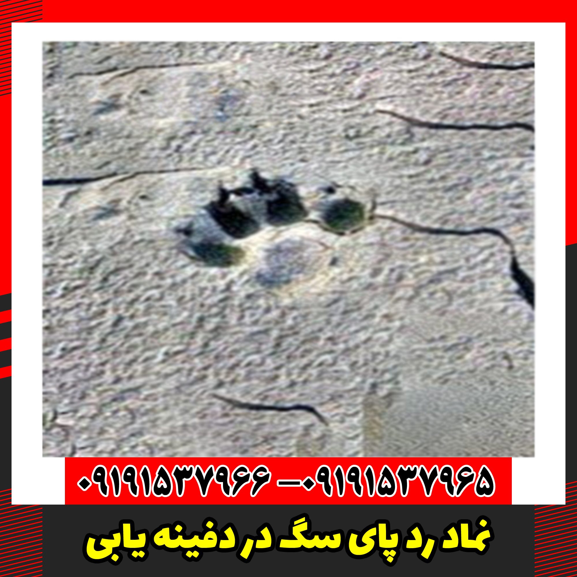 نماد رد پای سگ در دفینه یابی