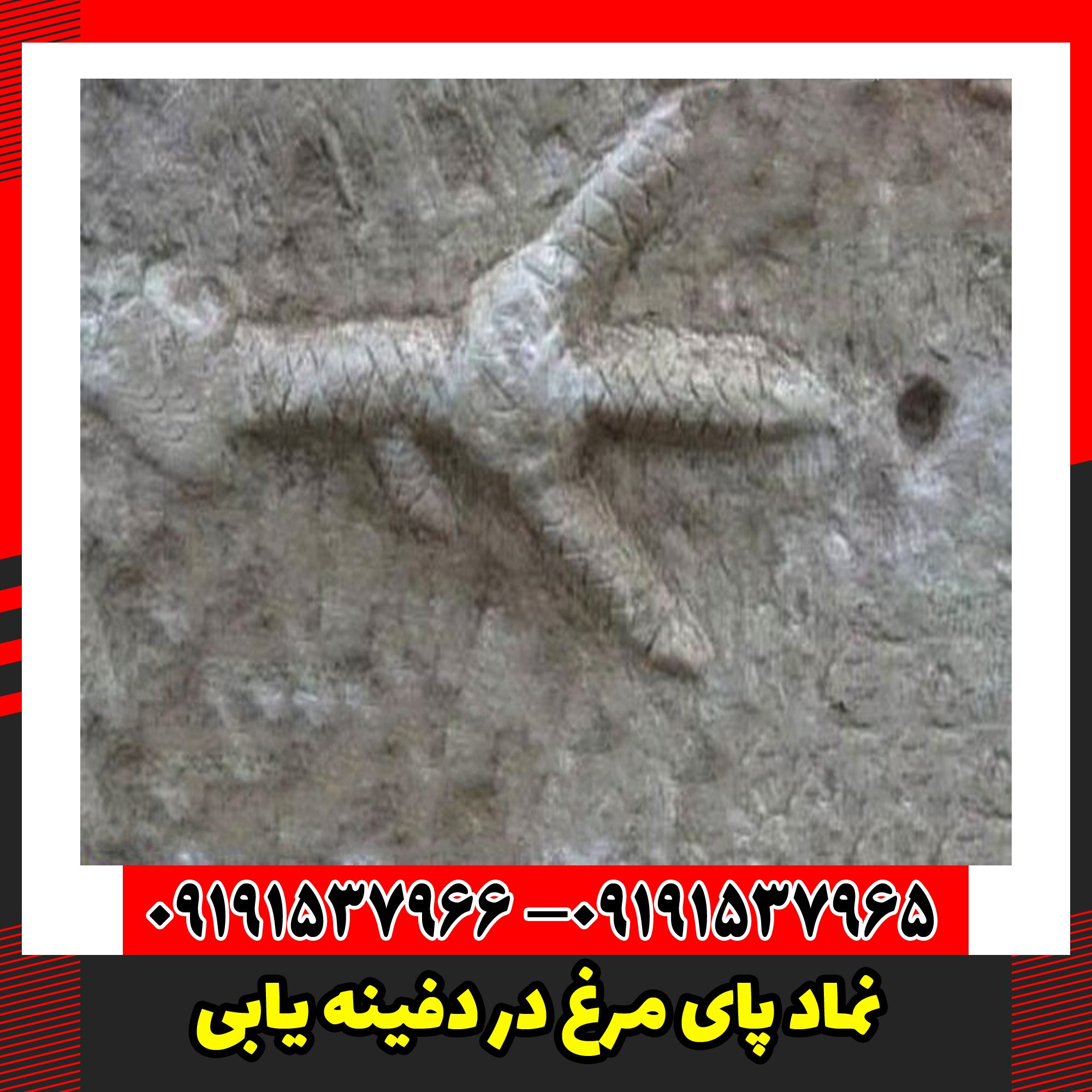 نماد پای مرغ در دفینه یابی