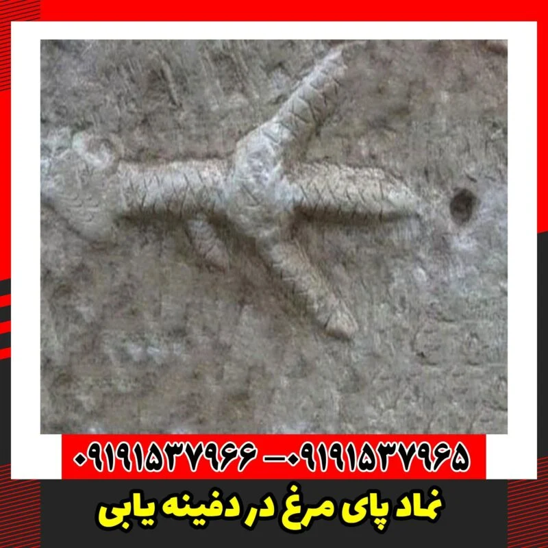 نماد پای مرغ در دفینه یابی
