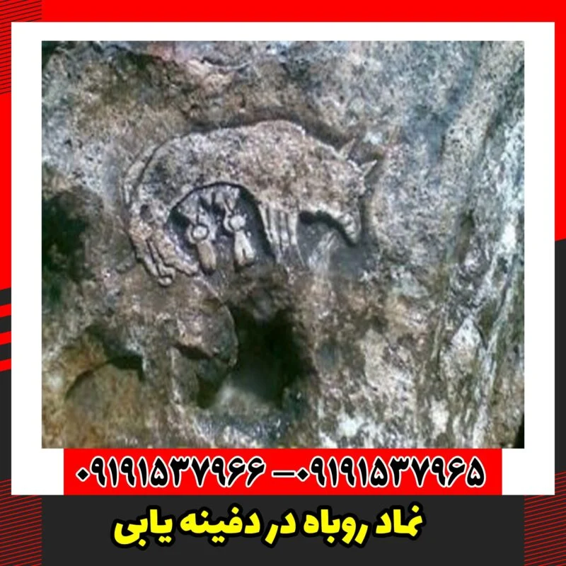 نماد روباه در دفینه یابی