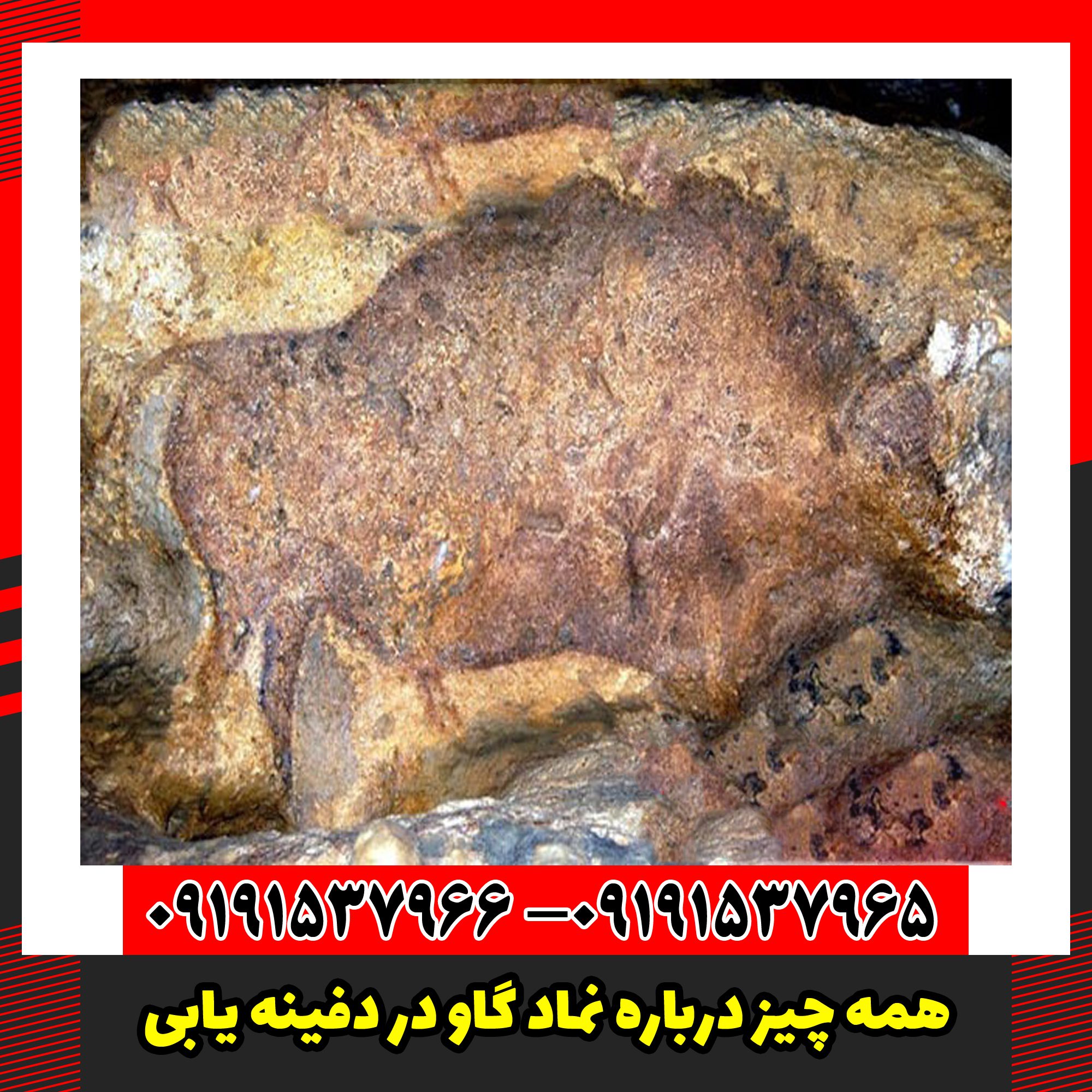 همه چیز درباره نماد گاو در دفینه یابی