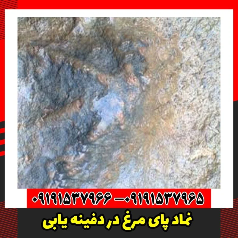 نماد پای مرغ در دفینه یابی