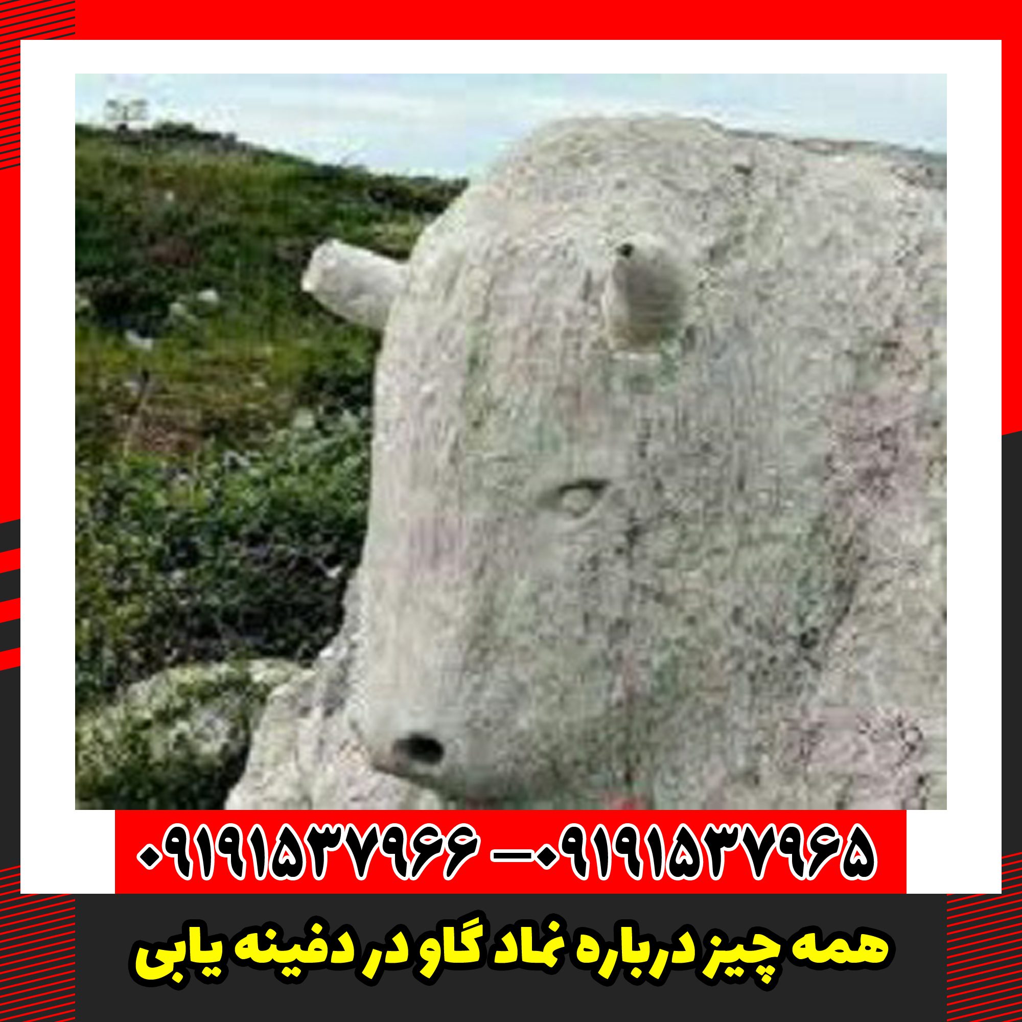 همه چیز درباره نماد گاو در دفینه یابی