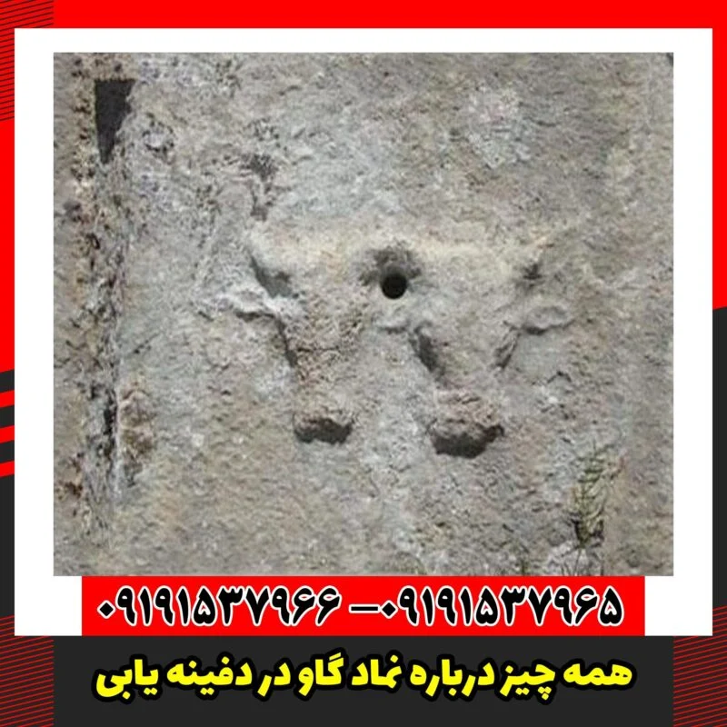 همه چیز درباره نماد گاو در دفینه یابی