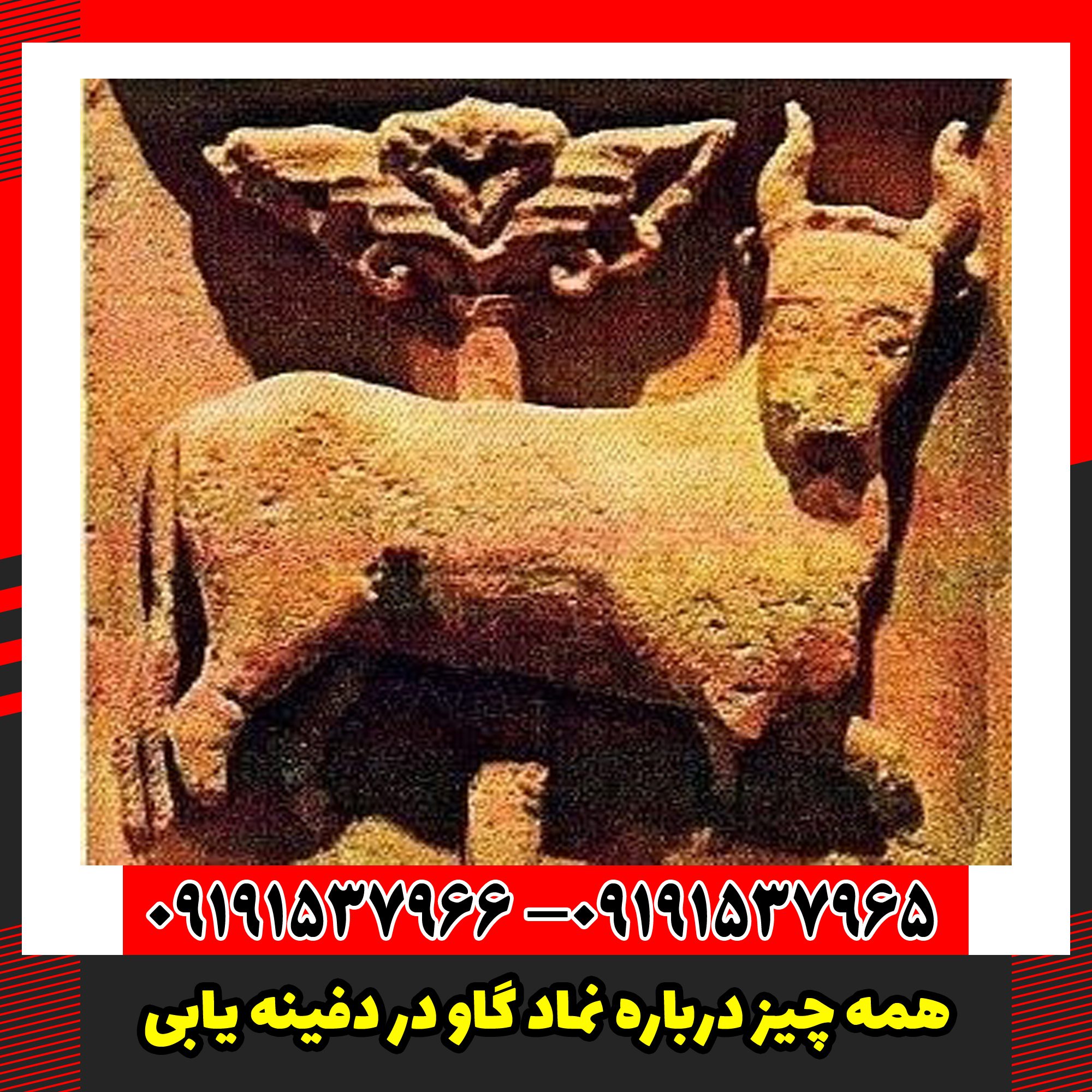 همه چیز درباره نماد گاو در دفینه یابی