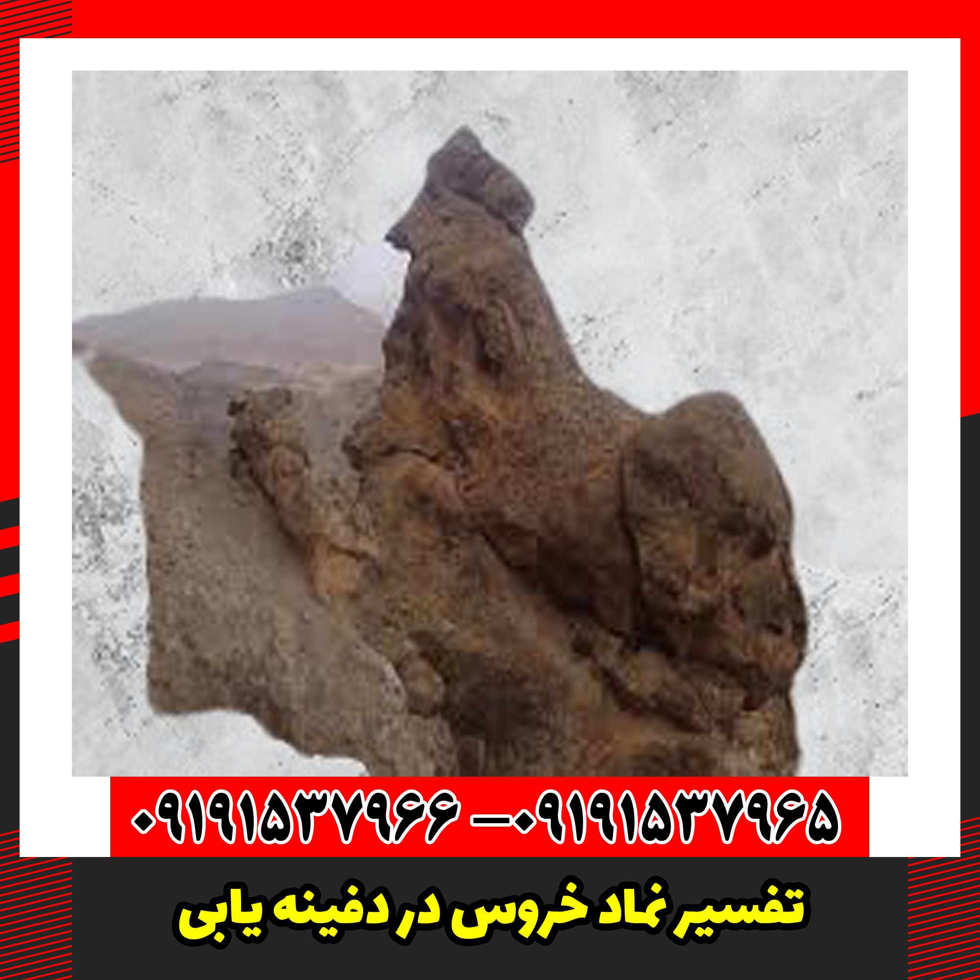 تفسیر نماد خروس در دفینه یابی