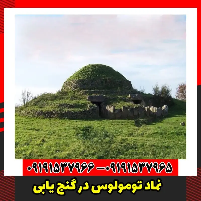 نماد تومولوس در گنج یابی