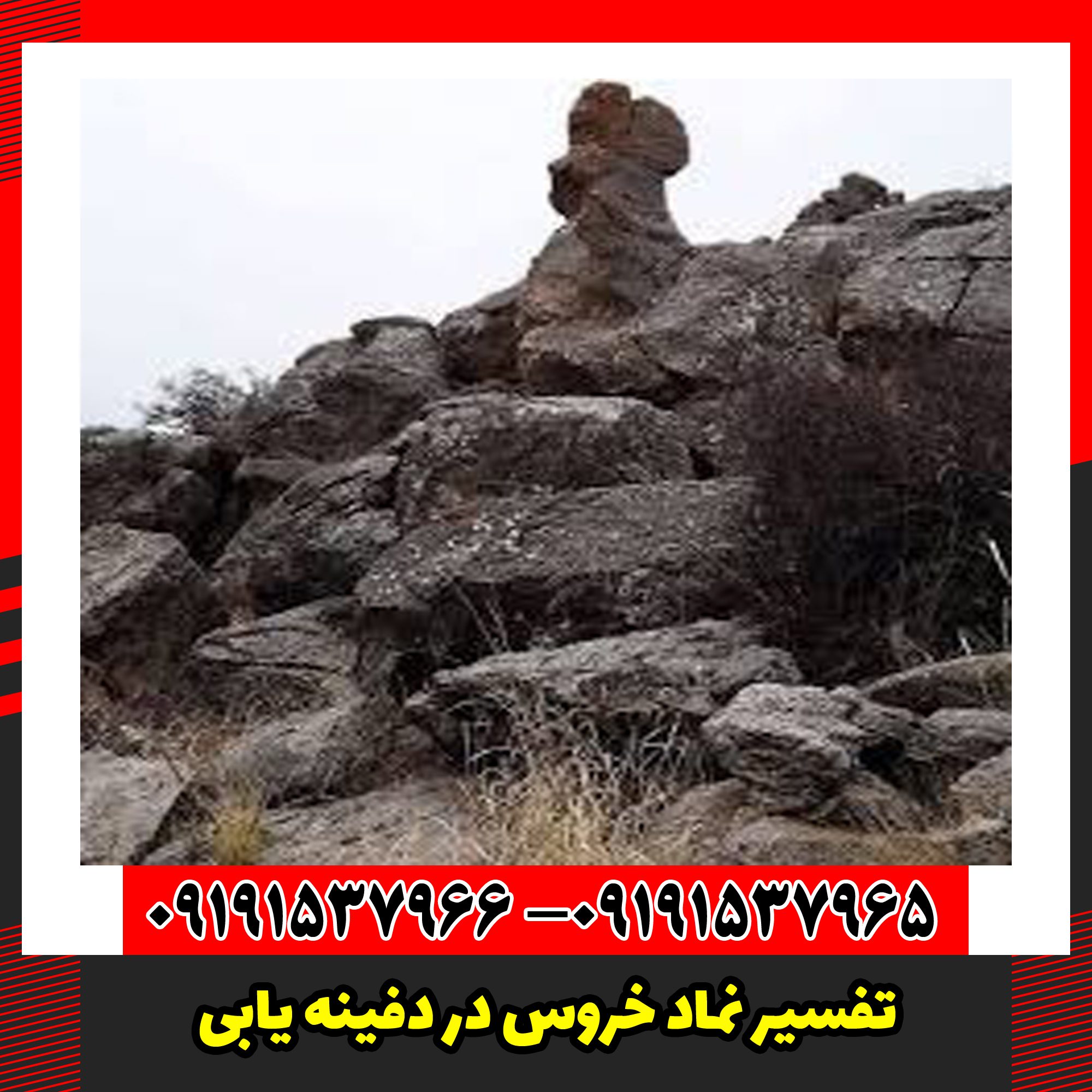 تفسیر نماد خروس در دفینه یابی