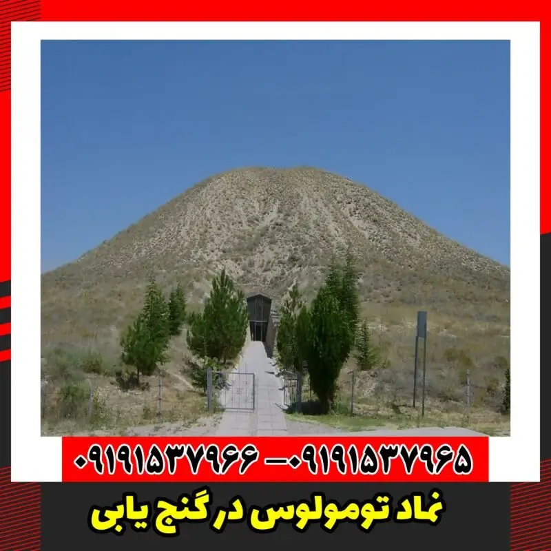نماد تومولوس در گنج یابی