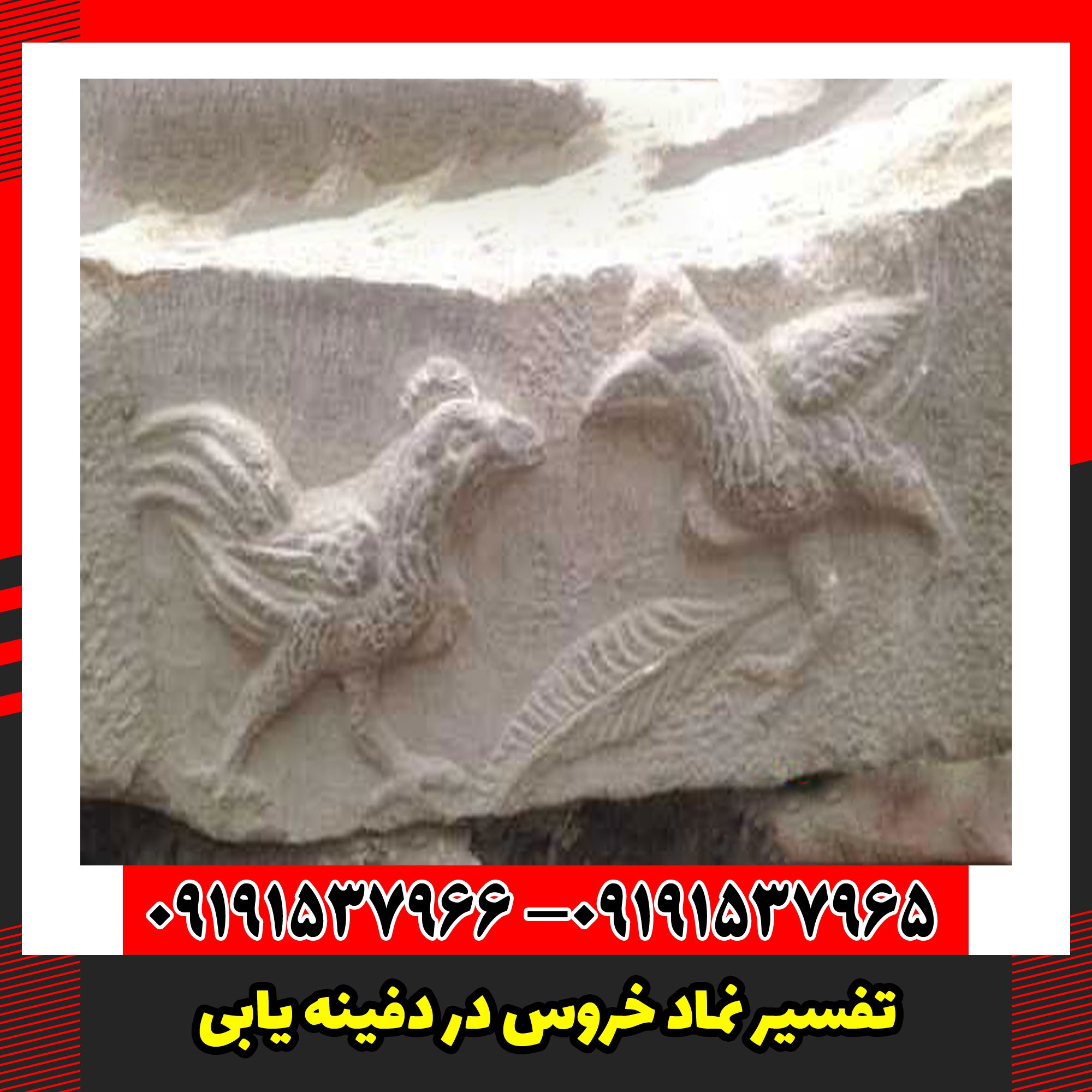 تفسیر نماد خروس در دفینه یابی