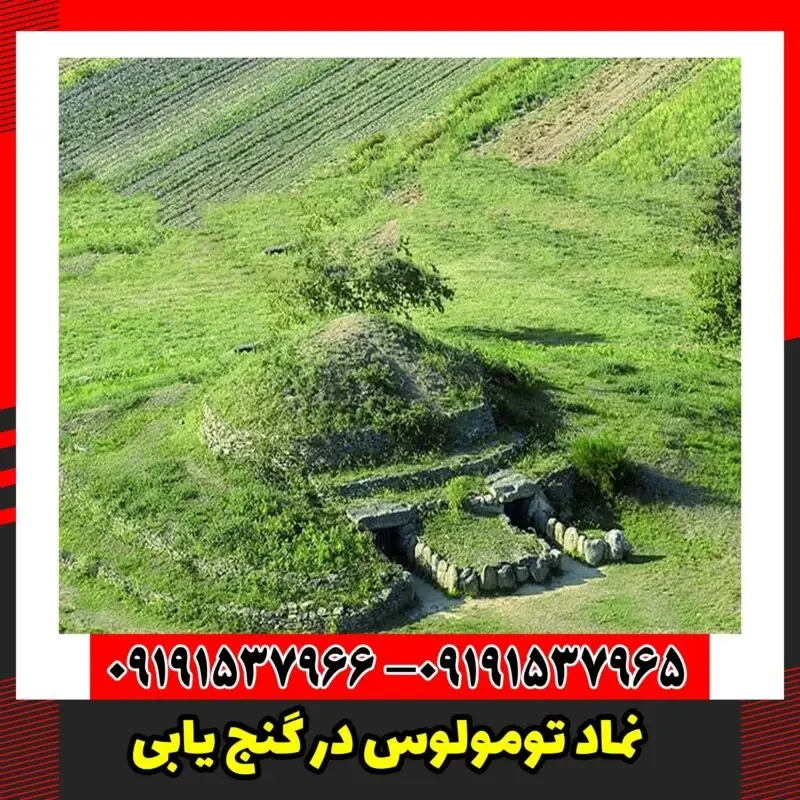 نماد تومولوس در گنج یابی