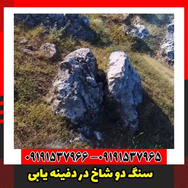 سنگ دو شاخ در دفینه یابی