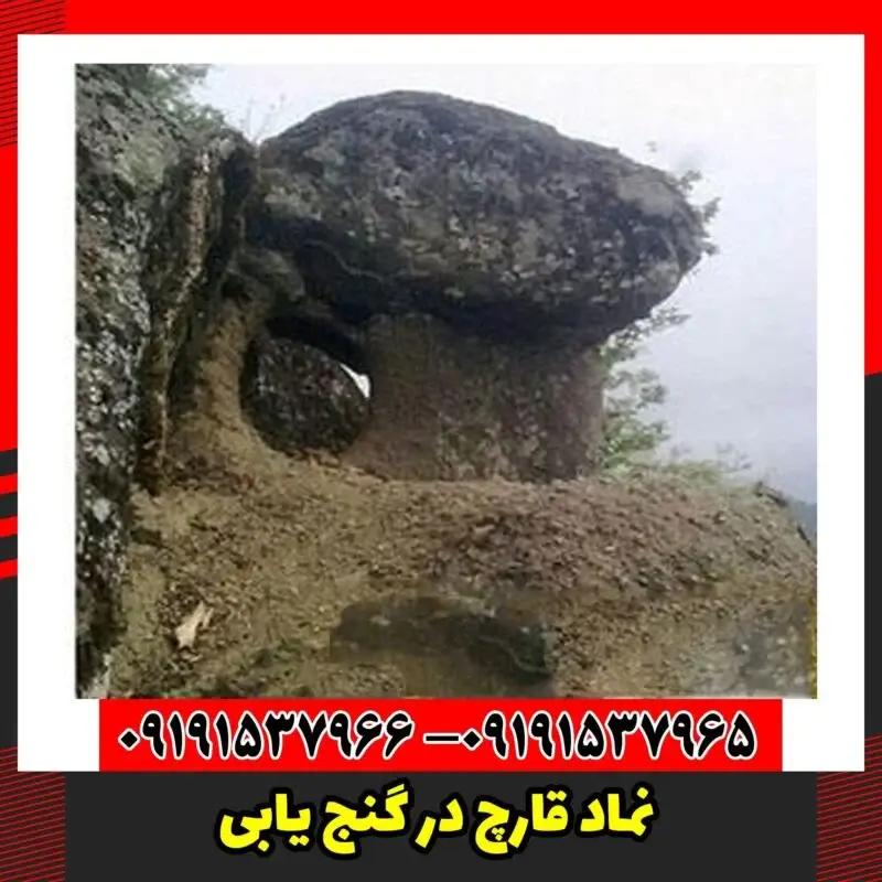 نماد قارچ در گنج یابی