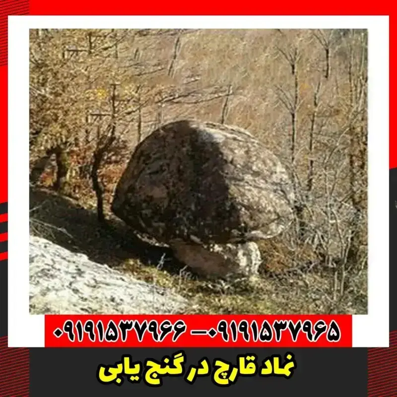 نماد قارچ در گنج یابی