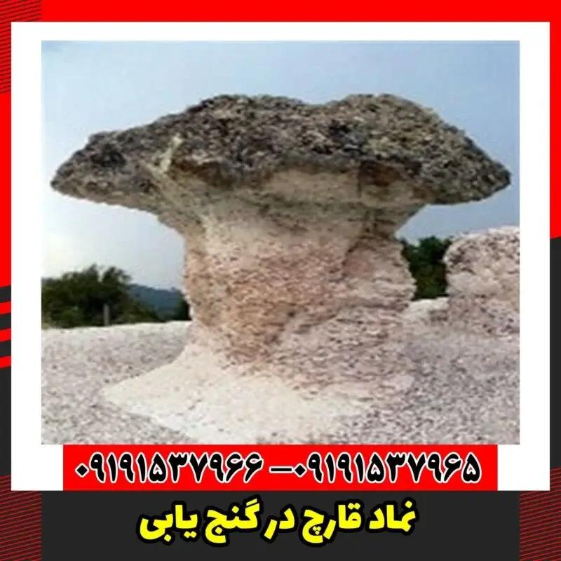 نماد قارچ در گنج یابی