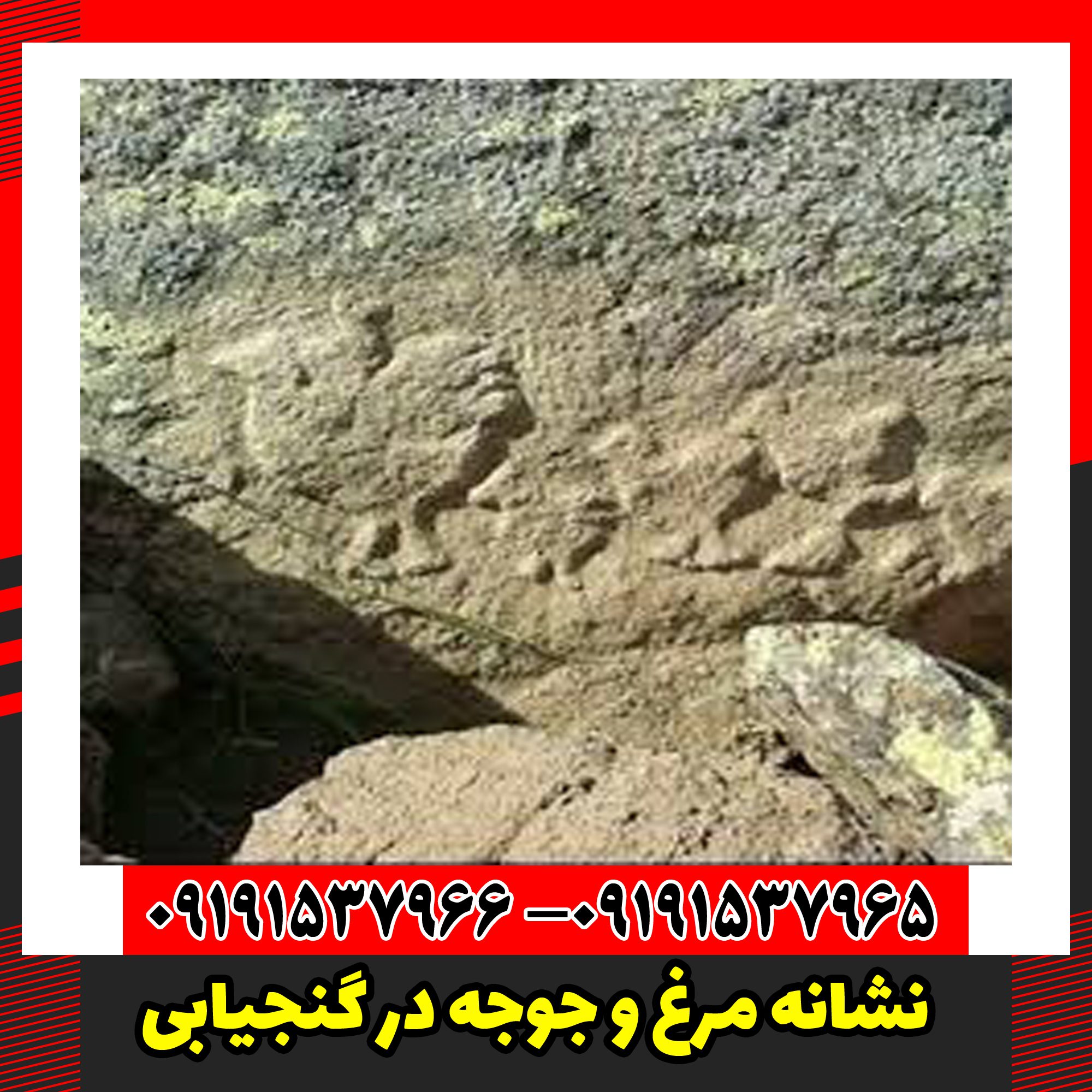 نشانه مرغ و جوجه در گنجیابی