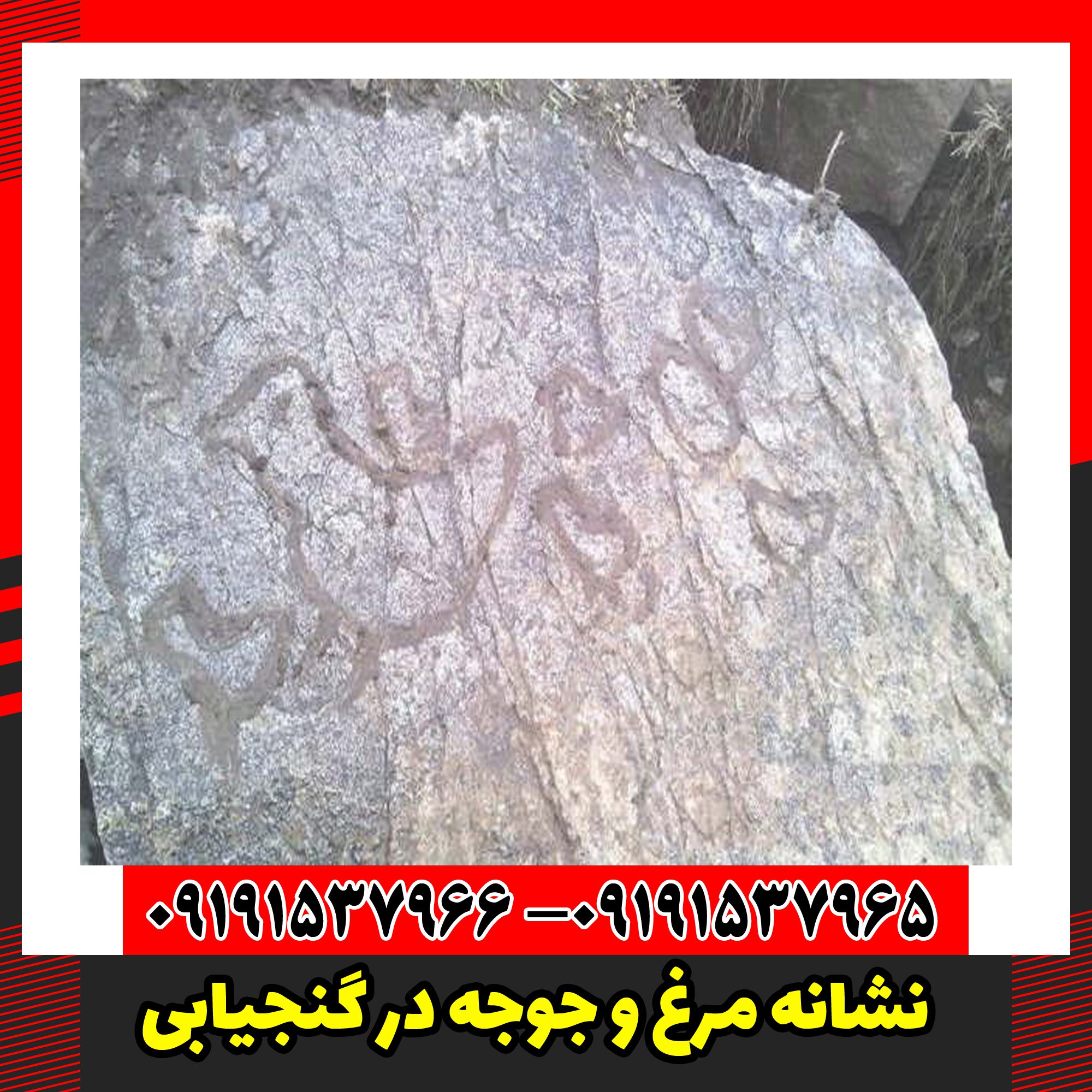 نشانه مرغ و جوجه در گنجیابی