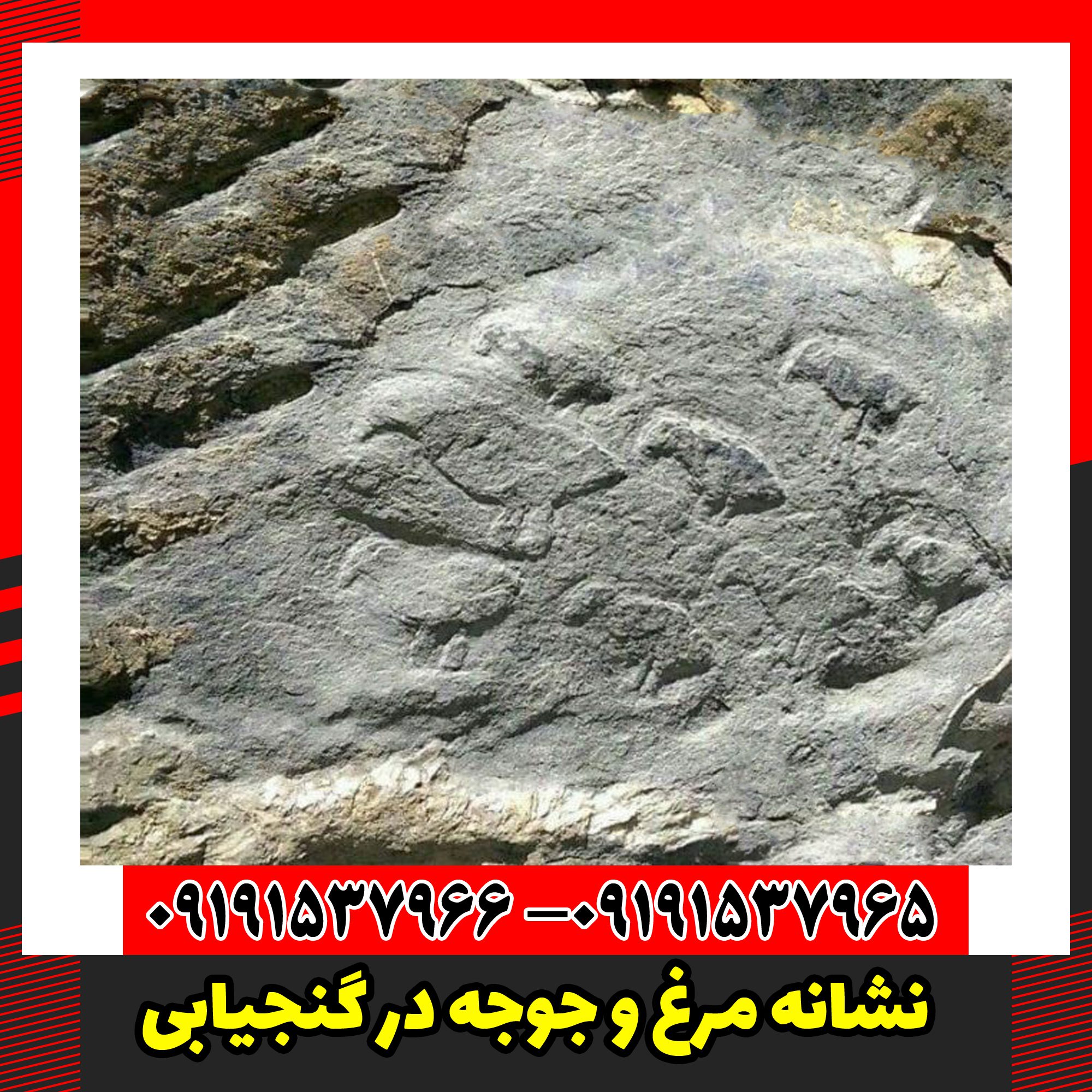 نشانه مرغ و جوجه در گنجیابی