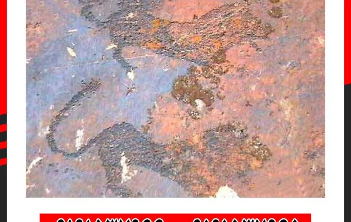 نماد پلنگ در دفینه یابی