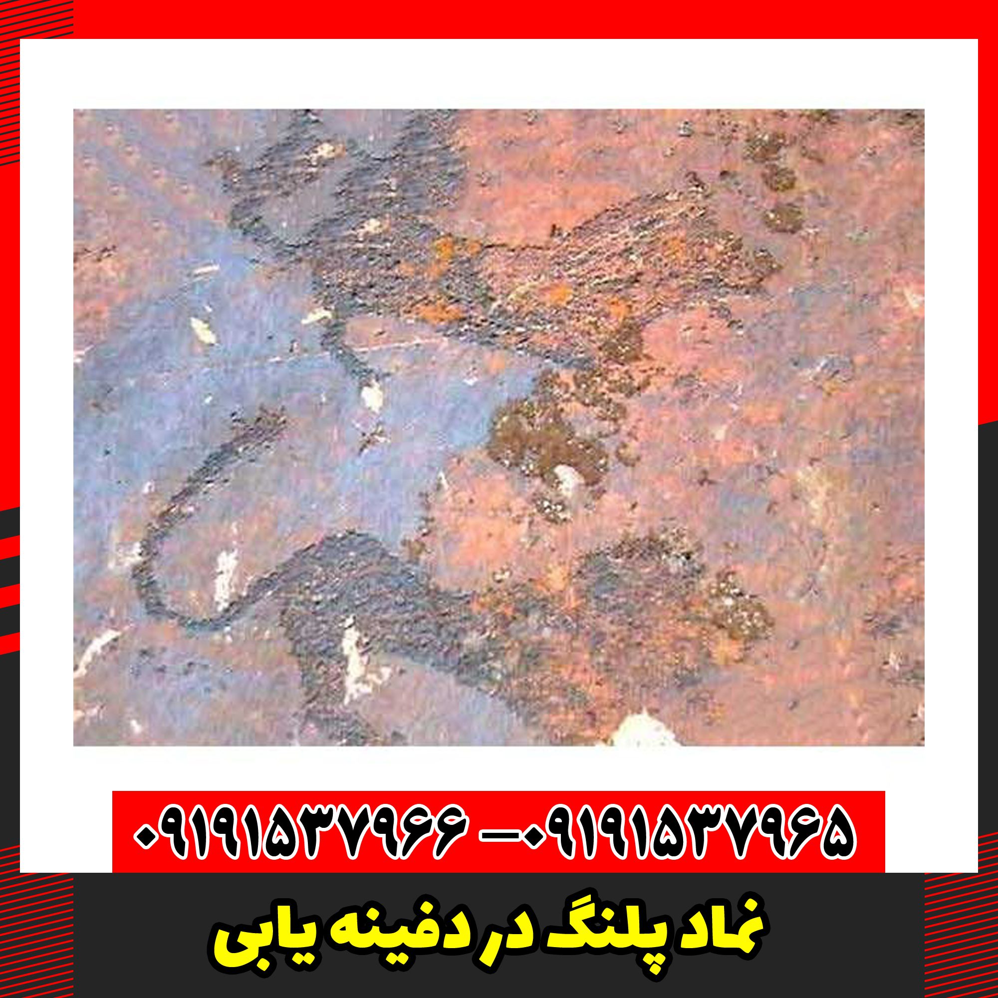 نماد پلنگ در دفینه یابی